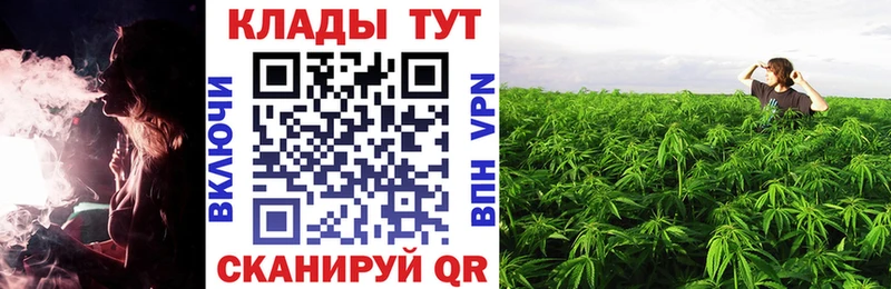 Где купить наркотики Гвардейск Псилоцибиновые грибы  Метадон  Alpha PVP  Канабис  Меф  Гашиш  Кокаин 