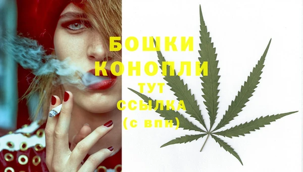 молекула духа Горно-Алтайск