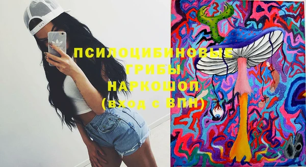 крисы Волоколамск