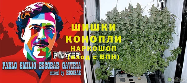 соль ск Медвежьегорск