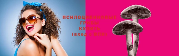 Альфа ПВП Горняк